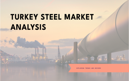 Turkey Steel Market: Industry Size and Growth Trends [2029] Analyzed by TechSci Research