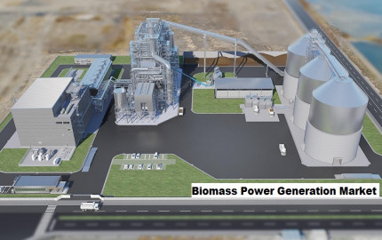 Biomass Power Generation Market: Navigating Market Opportunities