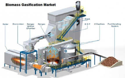 Biomass Gasification Market: Exploring Market Opportunities