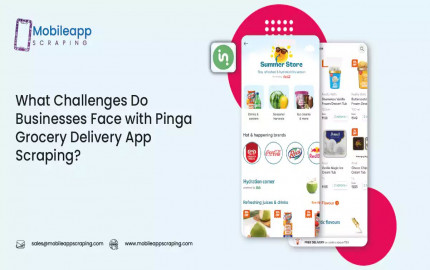What Challenges Do Businesses Face with Pinga Grocery Delivery App Scraping?