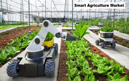 Smart Agriculture Market Outlook: Size, Share, Trends, and Forecast