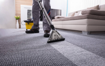 The Impact of Carpet Cleaning Services on Allergen Reduction