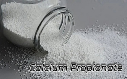 Calcium Propionate Market Size, Industry Research Report 2023-2032