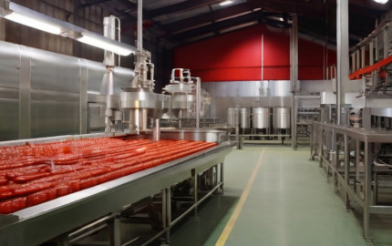 Ketchup Manufacturing Plant Project Report 2024: Industry Trends and Unit Setup