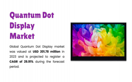 Quantum Dot Display Market Size, Share, and Growth Analysis