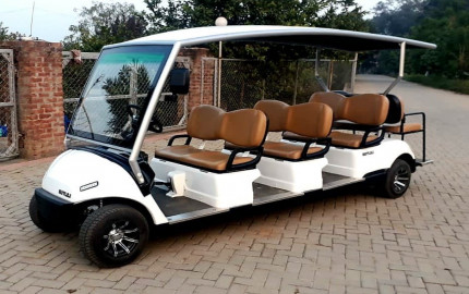 Japan Golf Cart Market Size, Share, Demand, Growth and Forecast 2024-2032