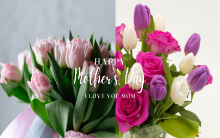 Best Mother's Day Flower Gifts: Blooms That Speak Louder Than Words