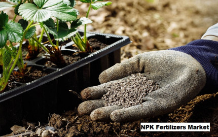 Analyzing NPK Fertilizers Market: Size, Share, Trends, Growth And Forecast
