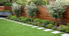 Landscaping Mistakes to Avoid: Common Pitfalls and How to Fix Them