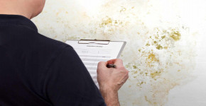 Mold Testing Near Me: Identifying Potential Hazards Early