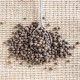 Report on Setting Up a Allspice Processing Plant: Machinery Requirements and Cost Analysis