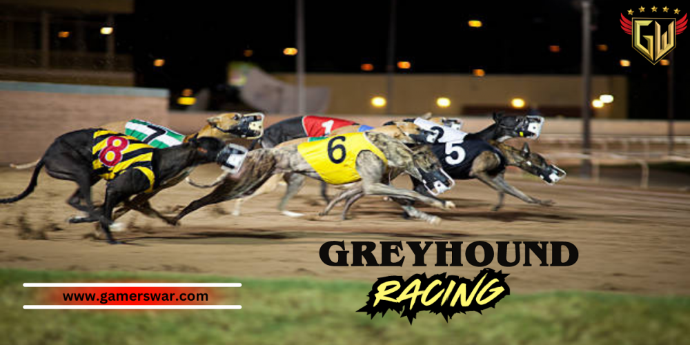 Most Reliable Site to Play Greyhound Racing Online