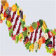 Empower Your Nutrition Choices: DNA Testing in Dubai