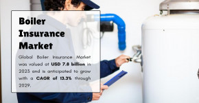 Boiler Insurance Market Size and Share: Global Industry Overview