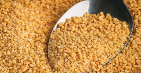 Exploring the Global Lecithin Market Trends and Forecast (2024-2032)