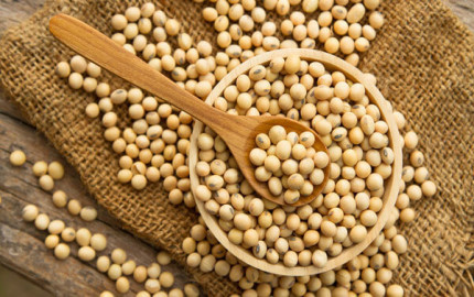 Soy Food Market Size, Industry Share, Growth, Trends, Key Players Analysis and Research Report 2024-2032