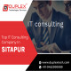 Best IT Consulting Company in Sitapur @DuplexTechnology