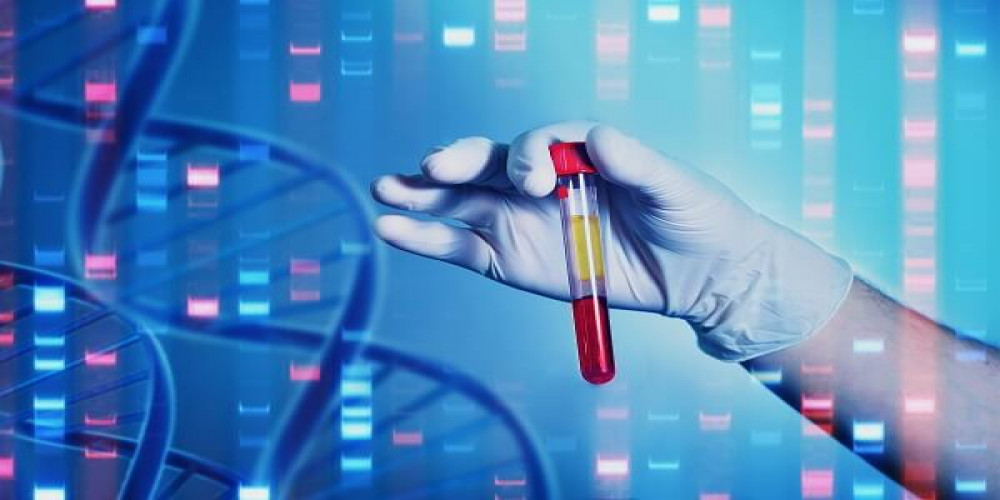 Dubai's Top DNA Testing Centers: A Comparative Review