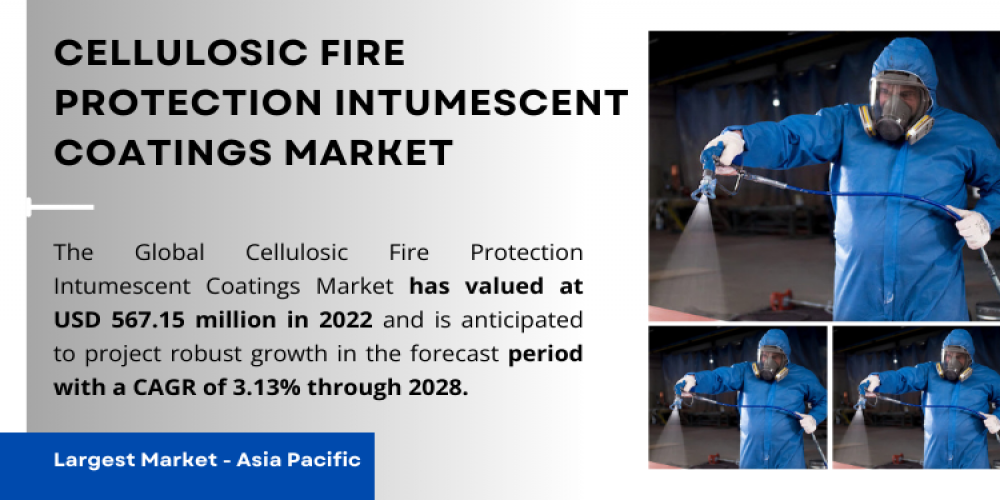 Cellulosic Fire Protection Intumescent Coatings Market Advancing Safety, USD 567.15M Valuation