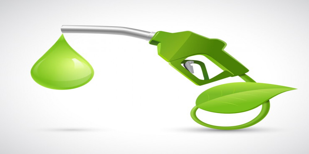 Revenue in the Europe Biodiesel Market  is projected to reach US$ 20.6 Billion by 2032