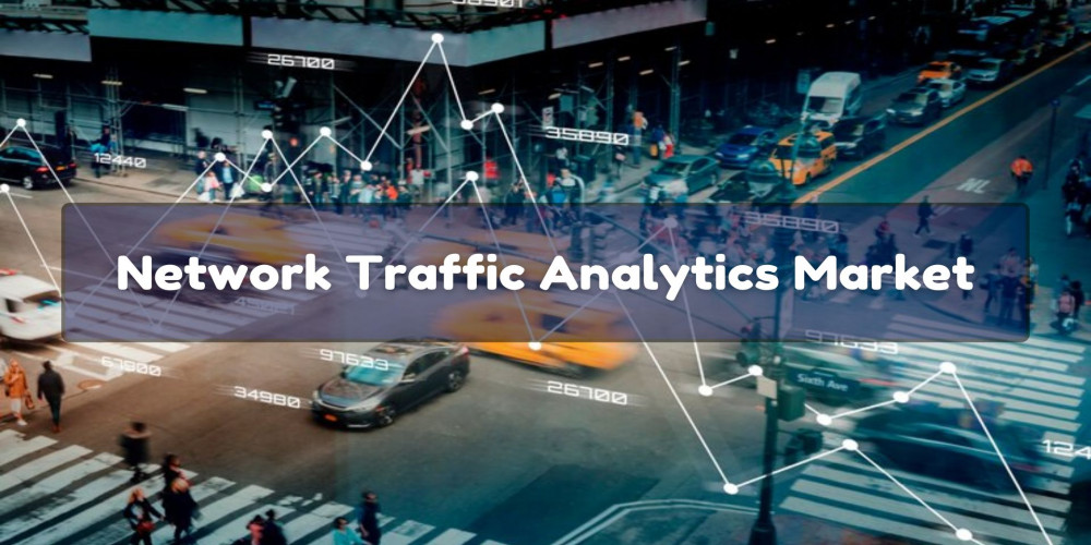 Network Traffic Analytics Market: Insights into Future Growth Trajectories