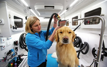 Mobile Pet Care Market Trends, Growth Rate, Analysis, Forecast, and Report 2024-2032