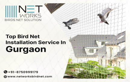 Top Bird Net Installation Service in Gurugram @NetworksBirdNet