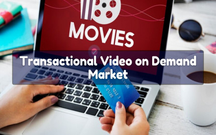 Transactional Video on Demand Market Overview: Understanding Demand Dynamics