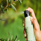 Insect Repellent Active Ingredients Market: 7.84% CAGR Growth Expected