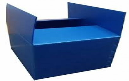 Disposable Polypropylene Box Manufacturing Plant Report: Machinery and Raw Materials