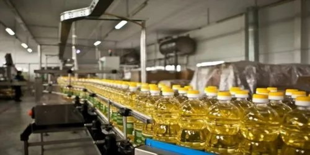 Vegetable Oil Processing Plant Setup and Cost Report 2024: Industry Trends and Investment Opportunities