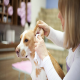  Pet Grooming Services Tailored to Your Furry Friend's Needs