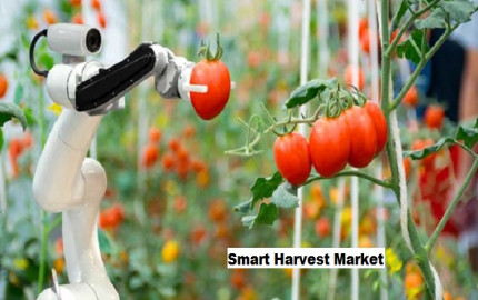 Smart Harvest Market Growth Drivers: Leveraging IoT for Enhanced Harvesting