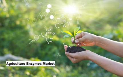 Agriculture Enzymes Market Positioned for Success with Vertical Farming and Indoor Gardening Trend