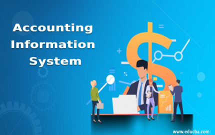 Unlocking the Potential of Accounting Information Systems Test Bank