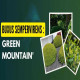Buxus sempervirens ‘Green Mountain’: A Versatile Evergreen Shrub for UK Gardens
