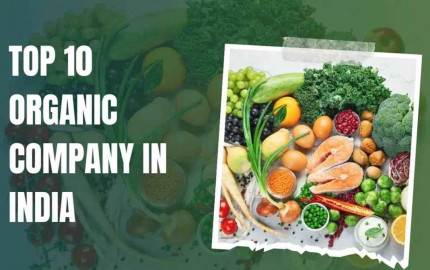 Top 10 Best Organic Company In India