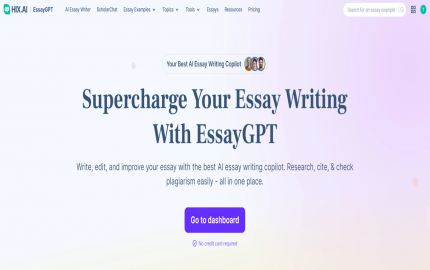 HIX EssayGPT Review: The Role of an AI Essay Generator in Modern Education