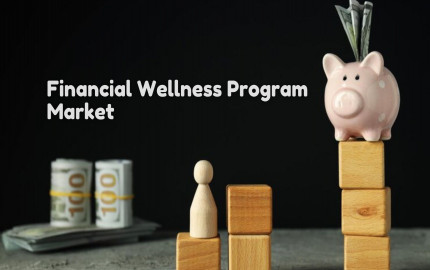 Financial Wellness Program Market Analysis: Delving into Growth Drivers