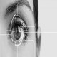Iris Recognition Market Report, Trends, Growth Rate, Demand, Opportunities 2024-2032