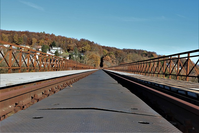 Subsidy Eligibility Checker Guide for Agricultural and Rural Schemes