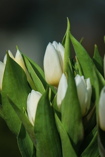 انا خبيت علشان مشاعرها وكان مفروض فعلا اقولها