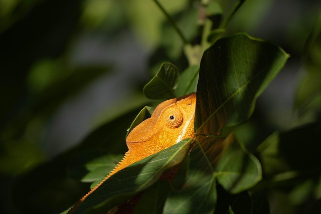 Hidden Gems of India: Guide to Offbeat Travel Destinations