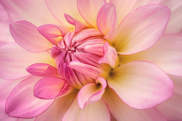 How to Choose and Grow Service-Based Online Business Models: Consulting, Agencies, and Freelance