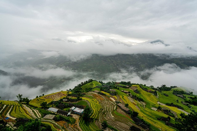 Proven Steps to Grow Your Audience: A Practical Action Plan