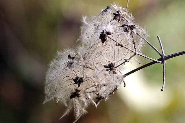 How to Use an AI Mystery Plot Generator to Create Tighter Crime Fiction