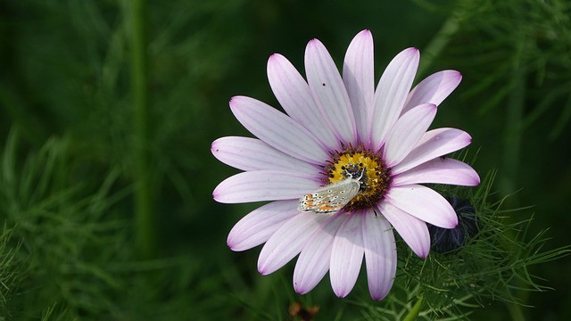 Selecting an AI Email Campaign Tool for Customer Reengagement: Comparison, Checklist, and Setup Guide