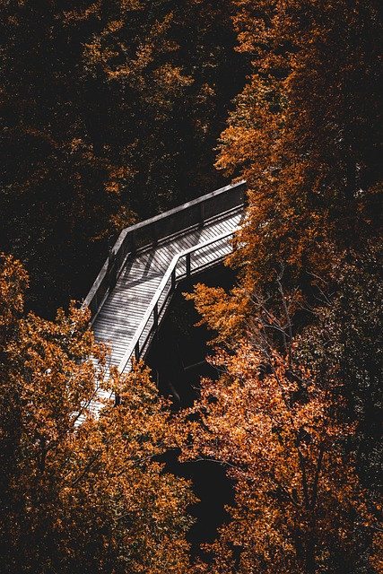 Mindfulness Recovery Plan for Workplace Burnout: A Practical Guide for Corporations