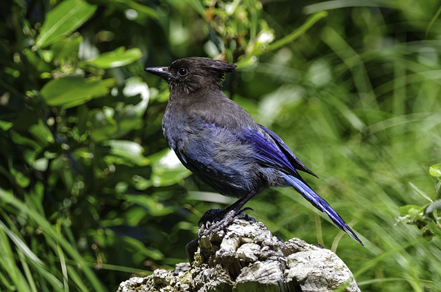 Home Solar ROI Calculator: Calculate Payback, Savings, and Break-Even