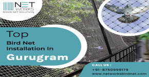 Top Bird Net Installation in Gurugram @NetworksBirdNet